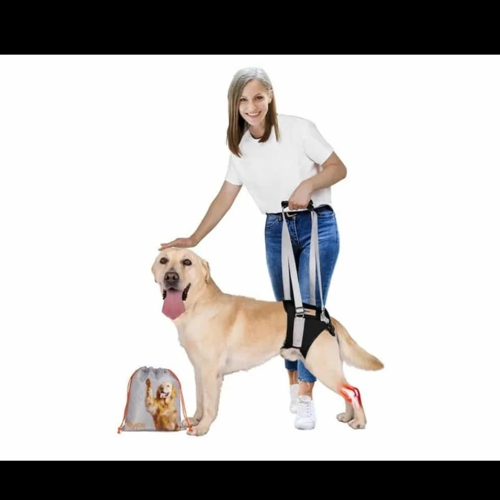 Senior Budday Dog Lift Harness for Large Dogs